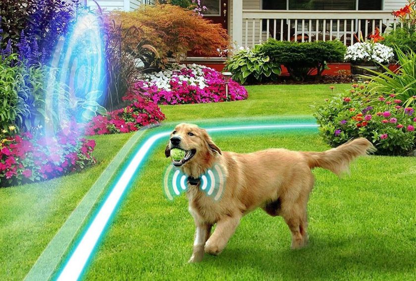 ELECTRIC DOG FENCING